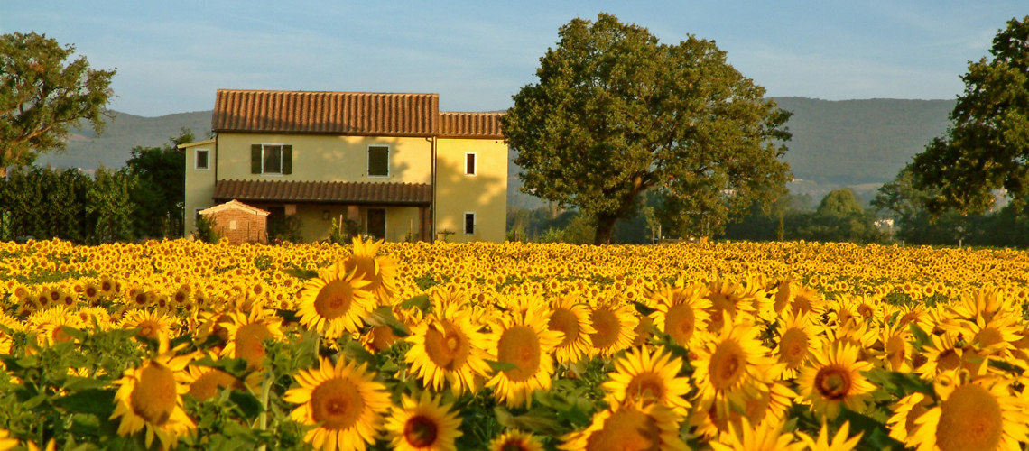 Podere San Cristoforo