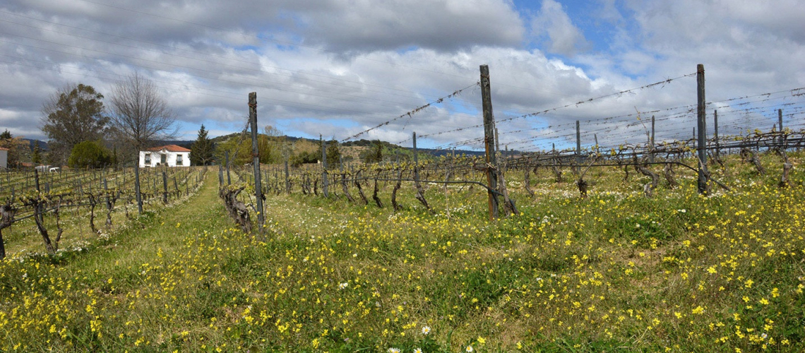 Quinta do Ataíde