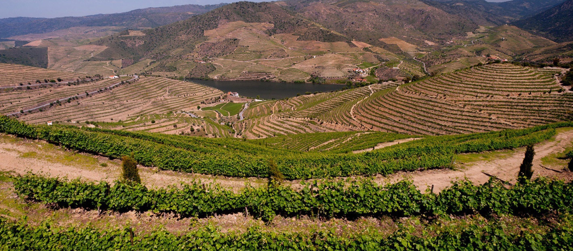 Quinta do Vesuvio