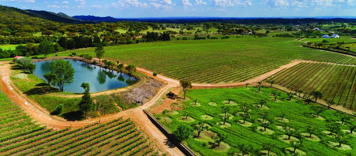 Quinta da Fonte Souto