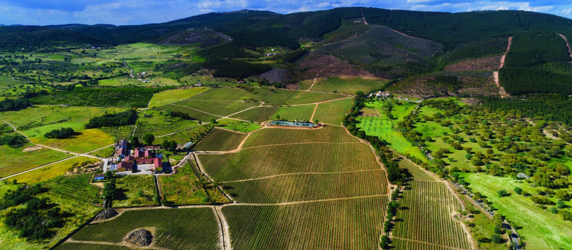 Quinta da Fonte Souto