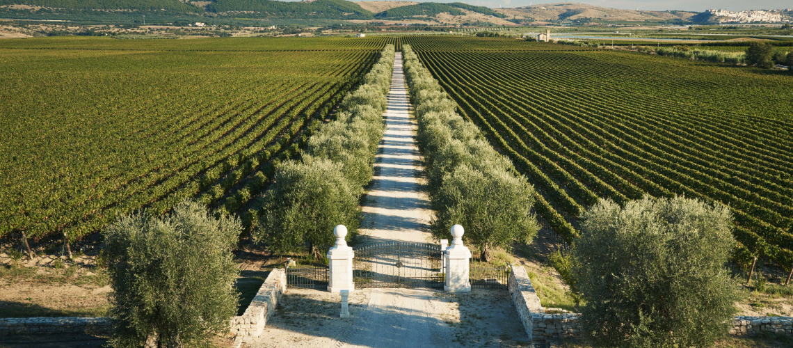 Tenuta Bocca di Lupo