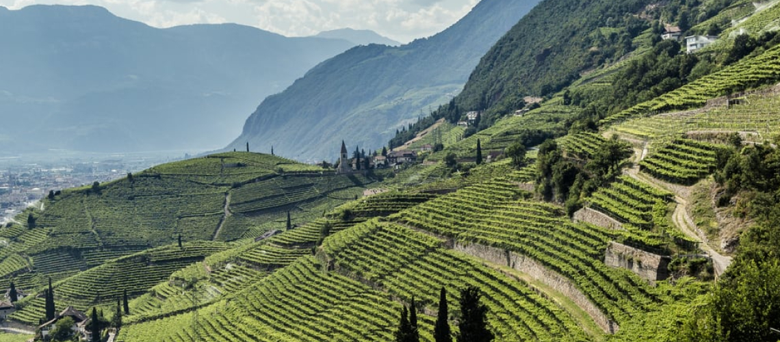 Cantina Toblino