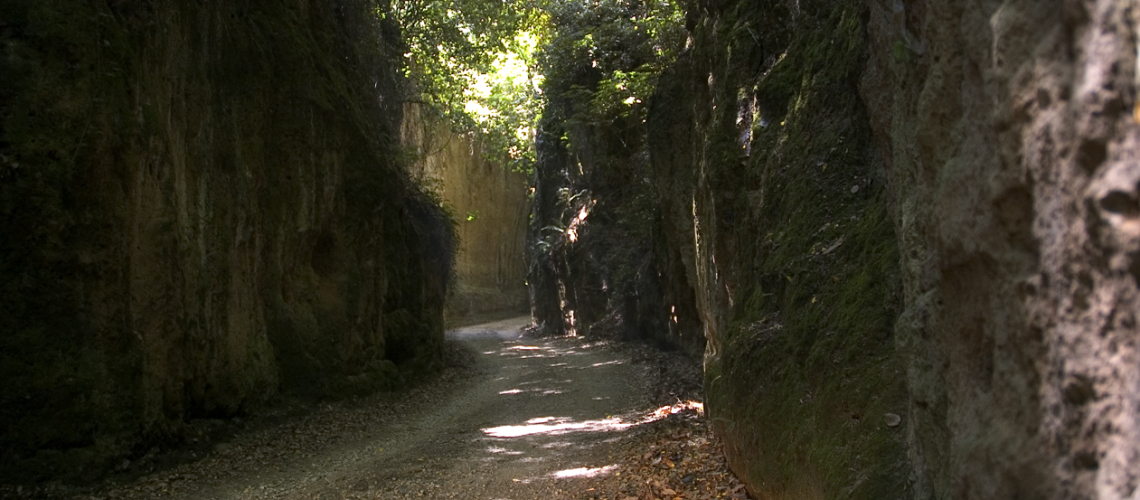 Fattoria Aldobrandesca