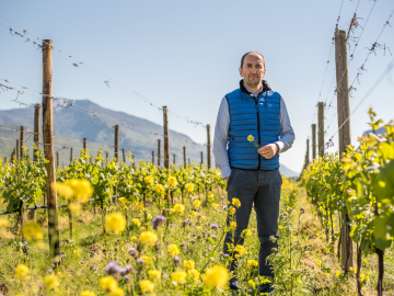 Cantina Toblino z italského regionu Trentino – Alto Adige.