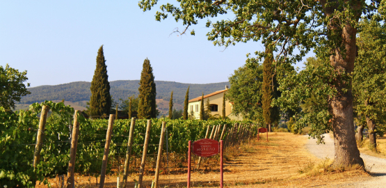 Podere San Cristoforo