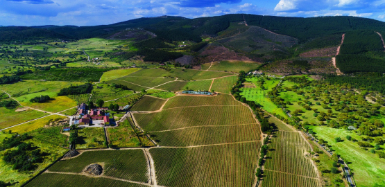 Quinta da Fonte Souto
