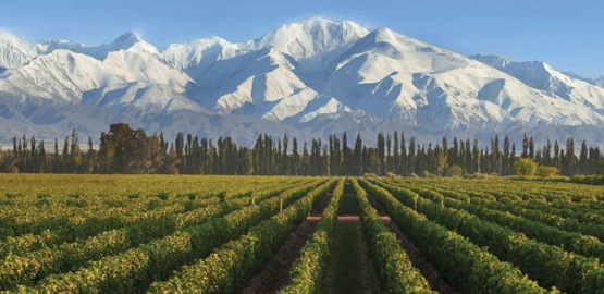 Terrazas de los Andes
