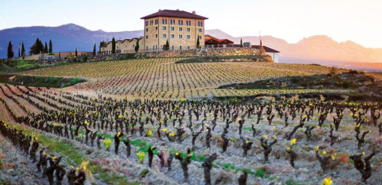 Hacienda López de Haro