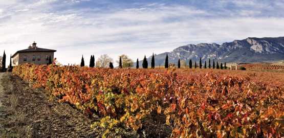 La Rioja Alta