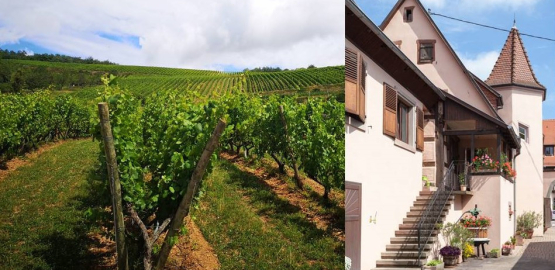 Domaine Fritsch