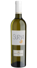 Surya Bianco, Sicilia DOC