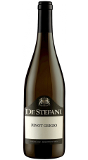Pinot Grigio, Veneto DOC