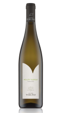 Müller Thurgau, Trentino DOC
