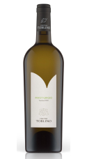 Pinot Grigio, Trentino DOC