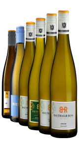 Výběr odrůdy Riesling z Německa