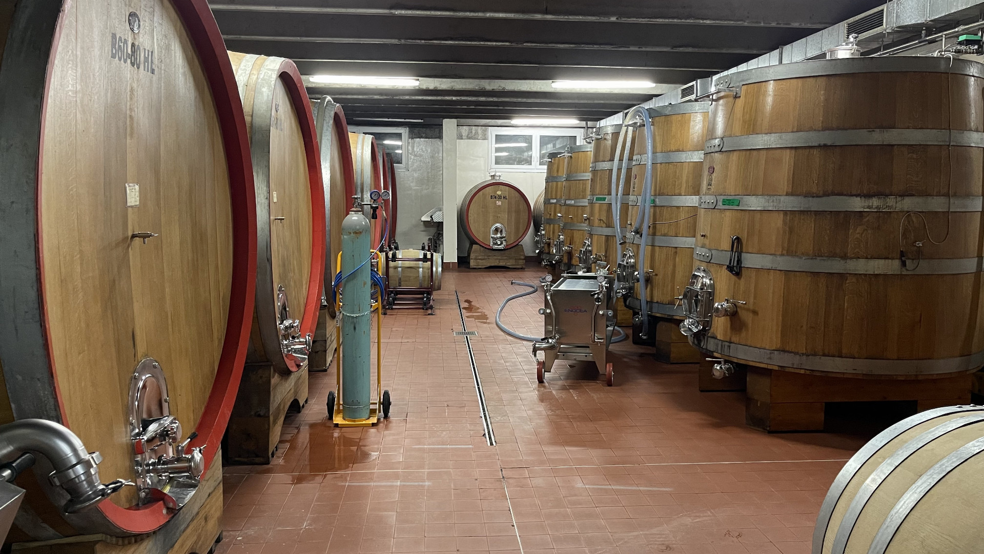 Návštěva ve vinařství Cantina Toblino