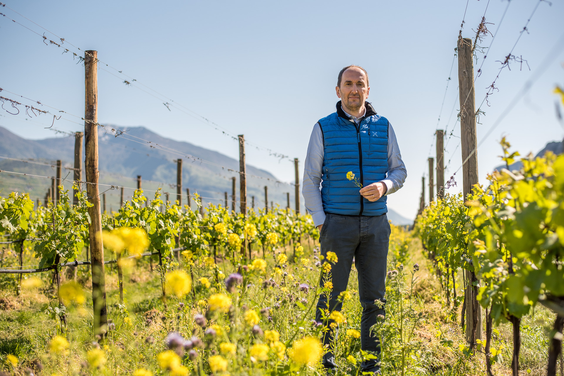 Cantina Toblino z italského regionu Trentino – Alto Adige.