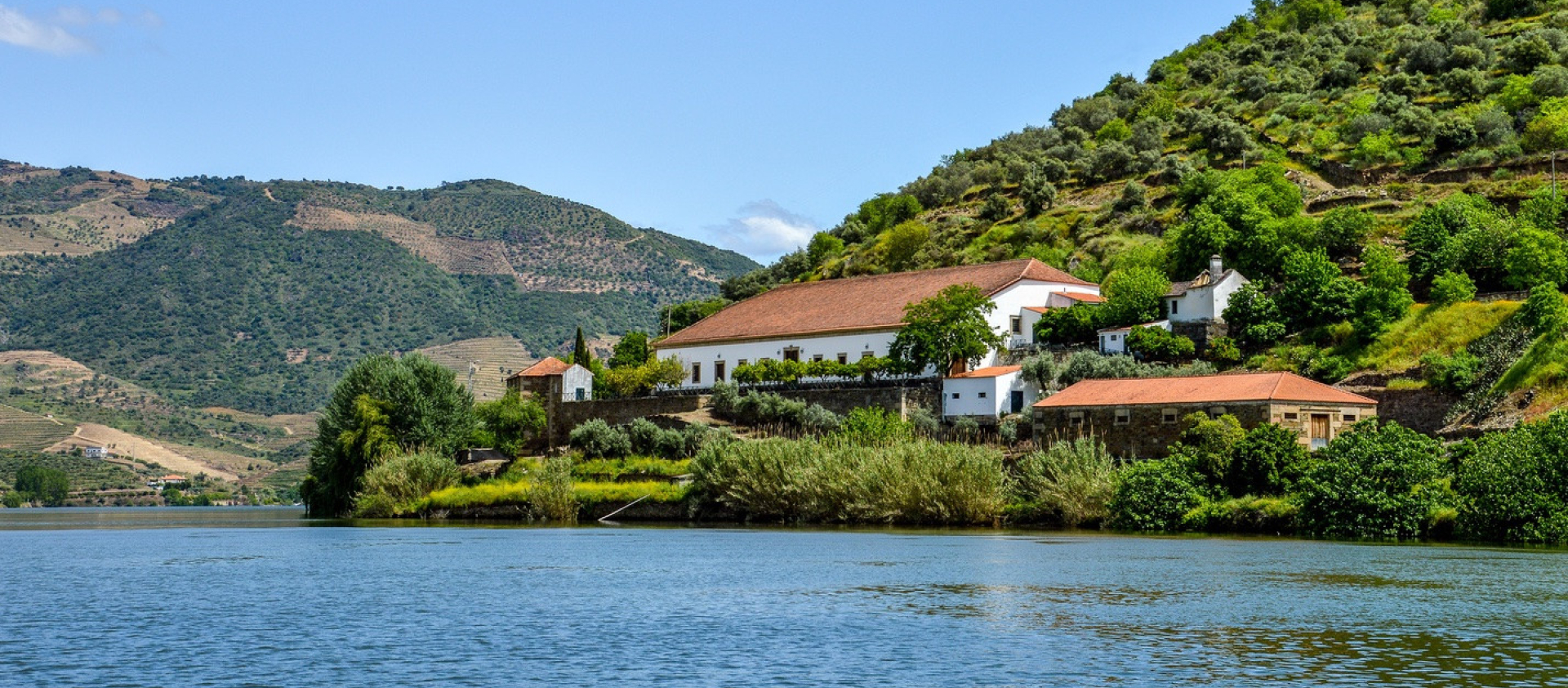 Quinta do Vesuvio