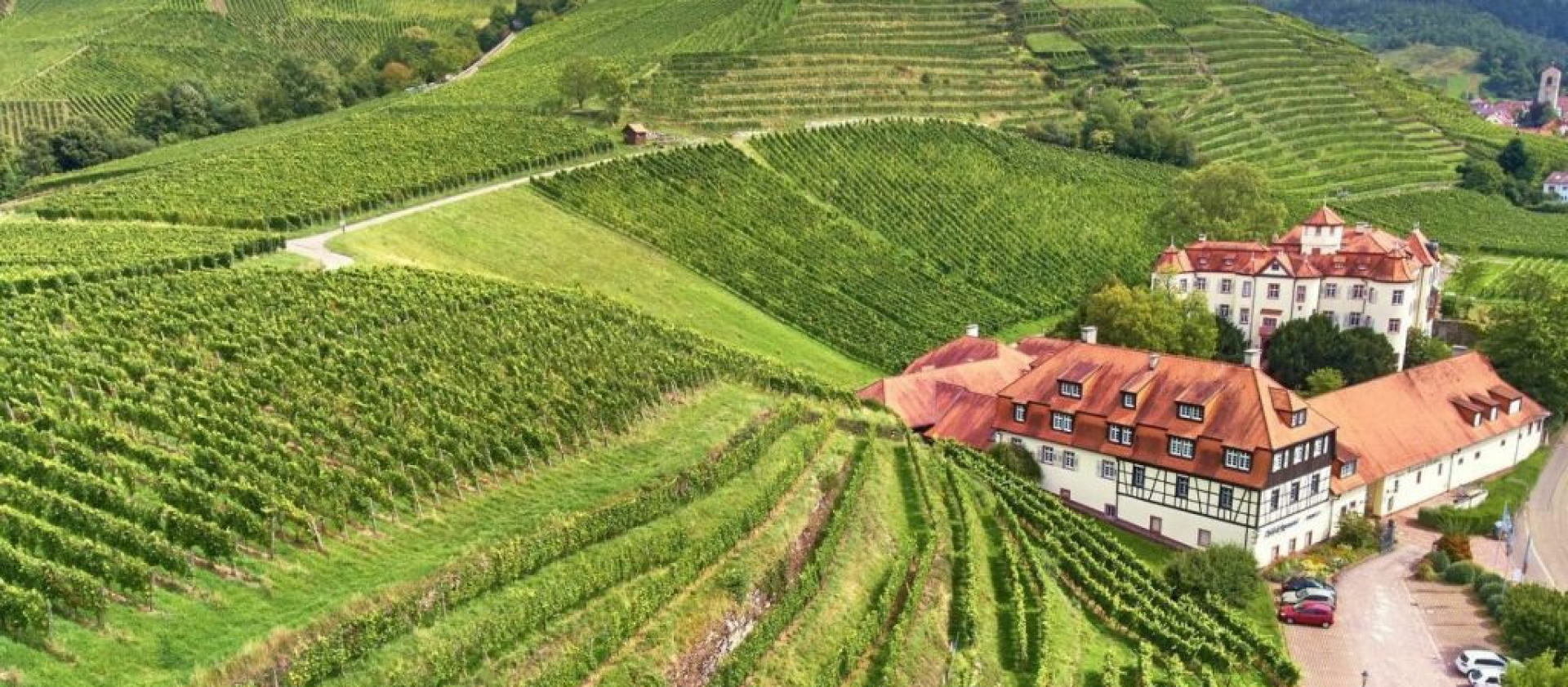 Weingut Schloss Neuweier
