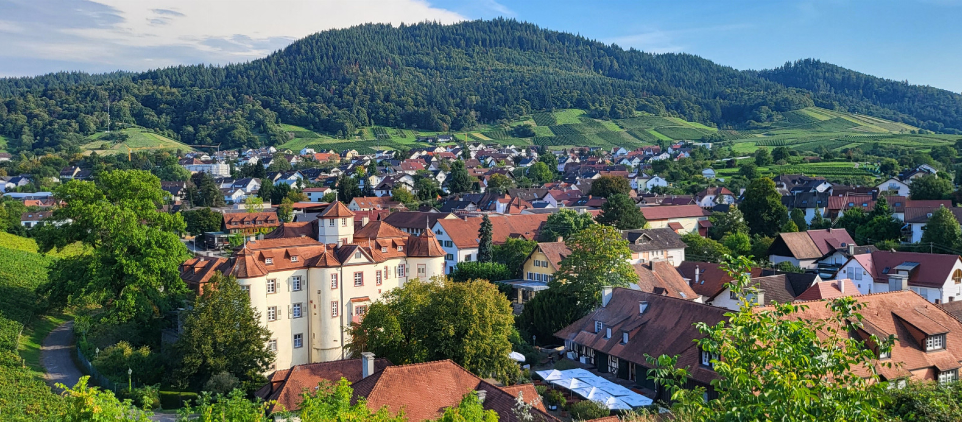 Weingut Schloss Neuweier