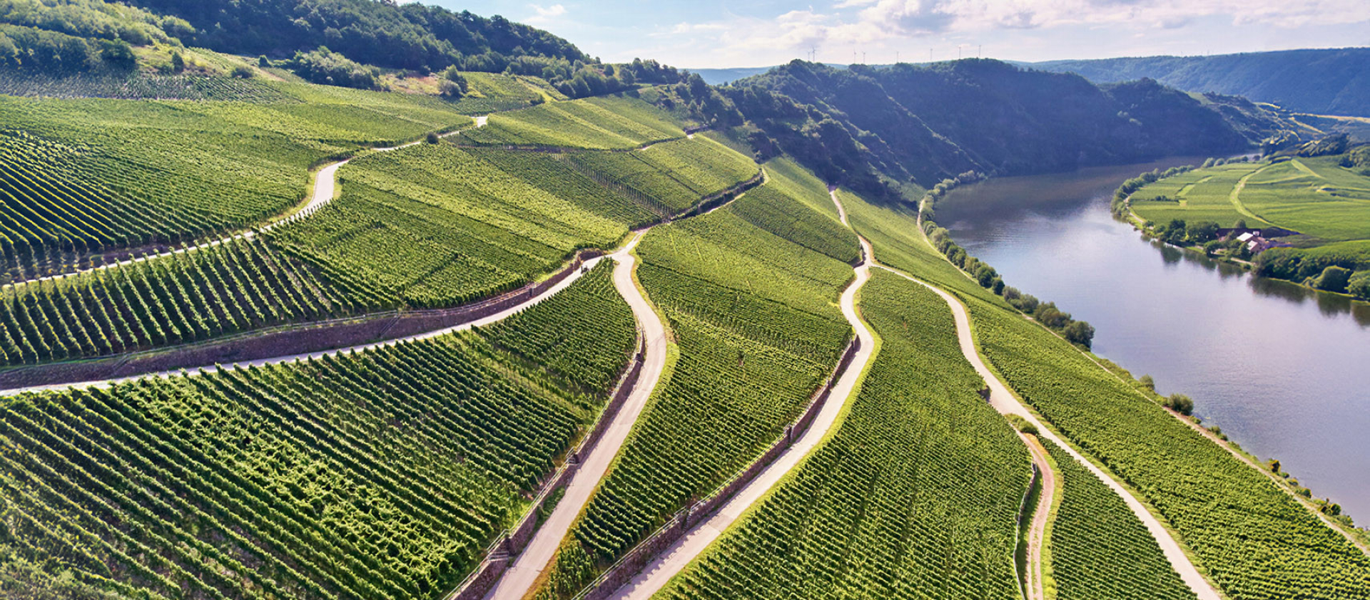 Weingut Haart