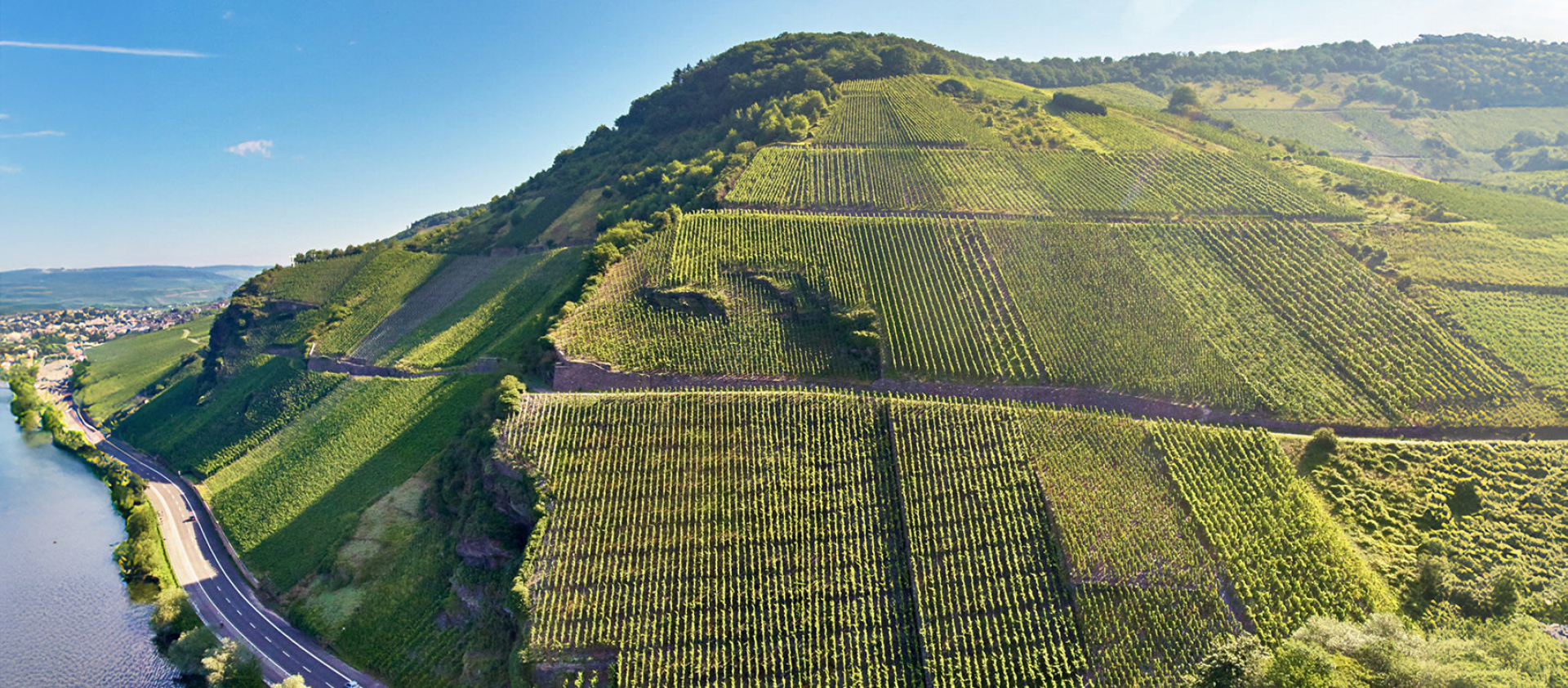 Weingut Haart