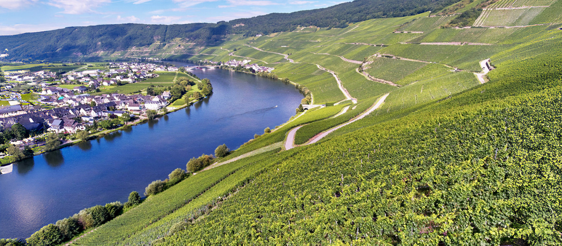 Weingut Haart