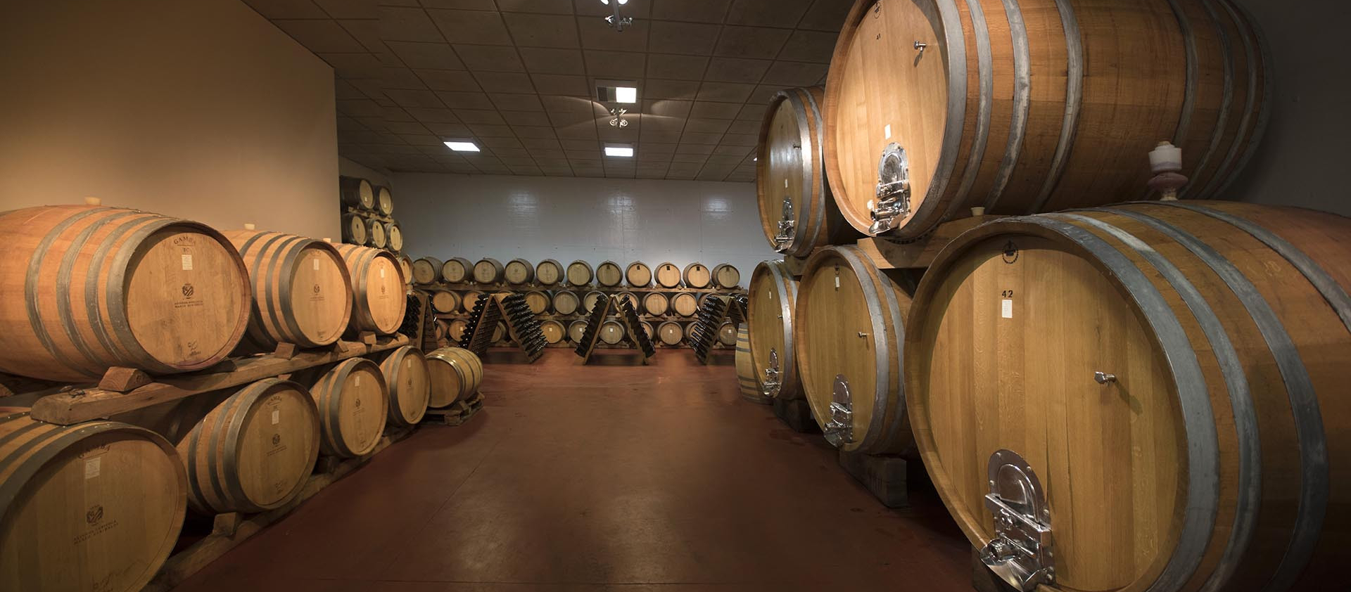 Azienda Mario Giribaldi