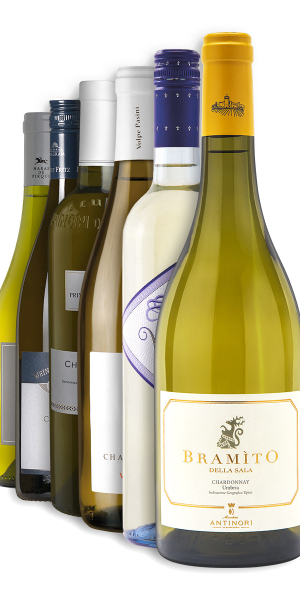 Výběr vín z odrůdy Chardonnay