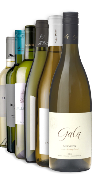 Výběr vín z odrůdy Sauvignon blanc