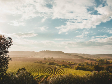 Grillesino / Toscana / Maremma
