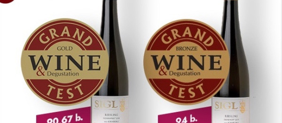 Hodnocení vín Wine & Degustation
