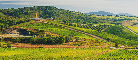 ROCCA DI FRASSINELLO / TOSCANA, MAREMMA