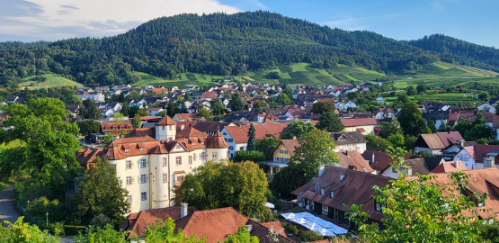 Weingut Schloss Neuweier