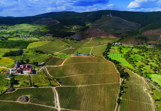 Quinta da Fonte Souto