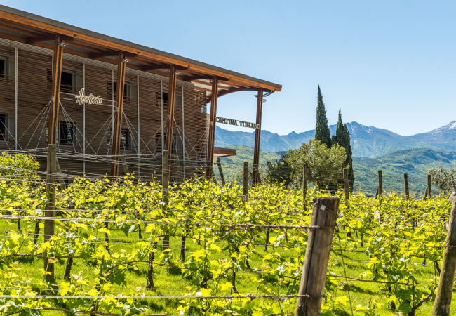 Cantina Toblino