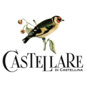 Castellare di Castellina