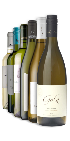 Výběr vín z odrůdy Sauvignon blanc