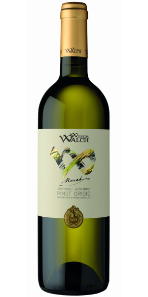 Levně „Marat“ Pinot Grigio, Alto Adige DOC