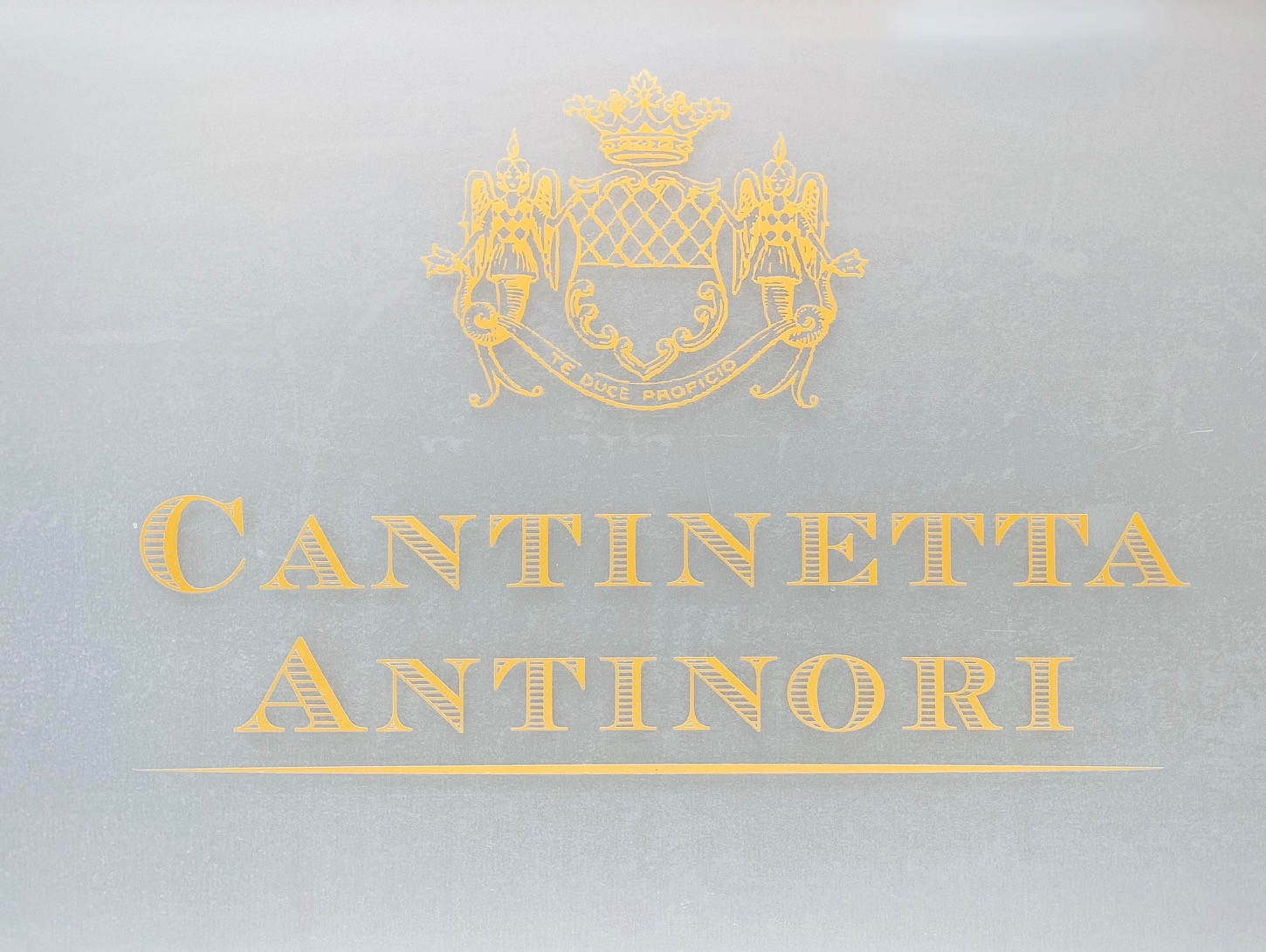 Cantinetta Antinori, Vídeň