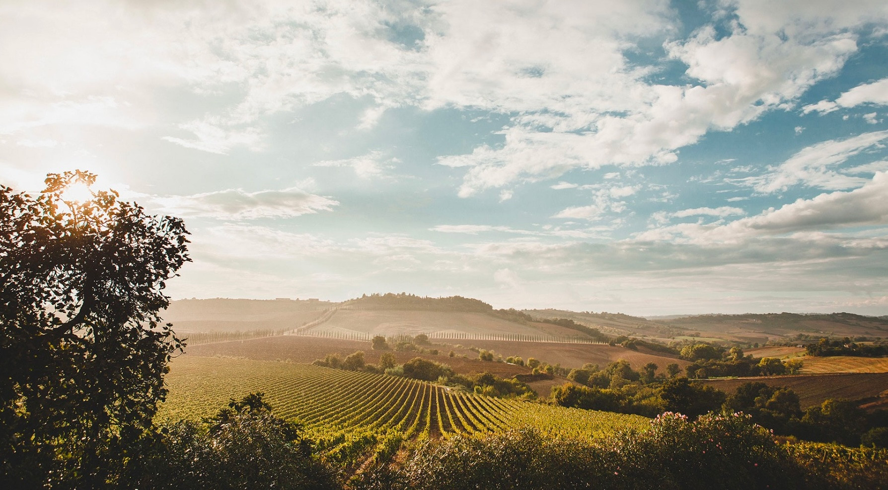Grillesino / Toscana / Maremma