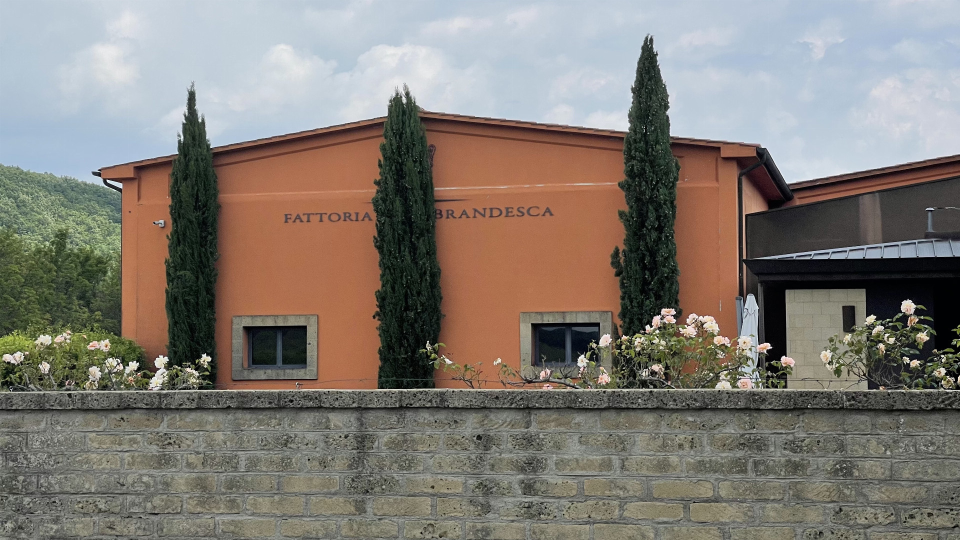 Návštěva vinařství Fattoria Aldobrandesca